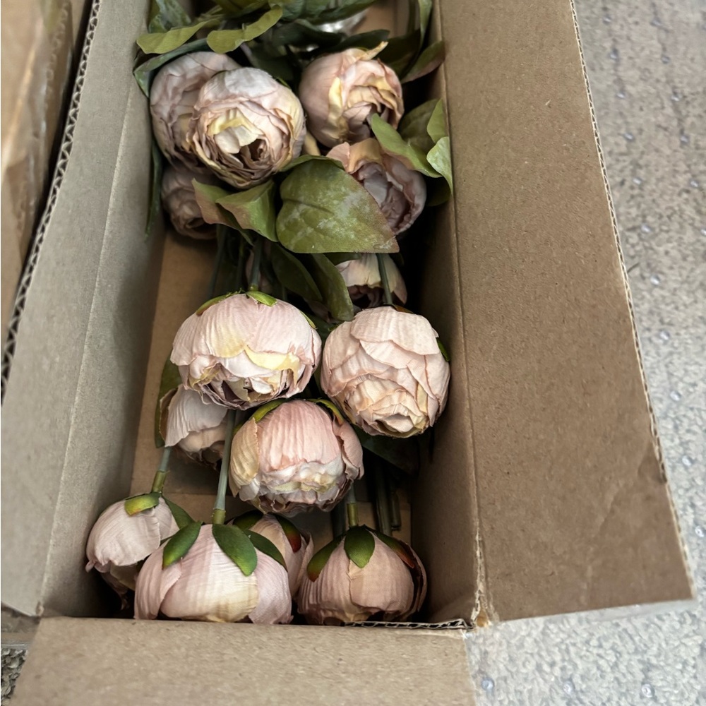 Elegant Ashland Tan & Cream Peonies- Selling in sets of 8 for $120 - Picture 6 of 7